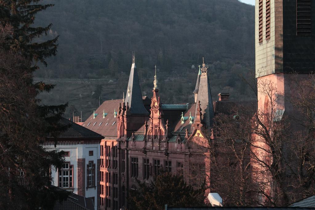 Altstadtblick Heidelberg Dış mekan fotoğraf