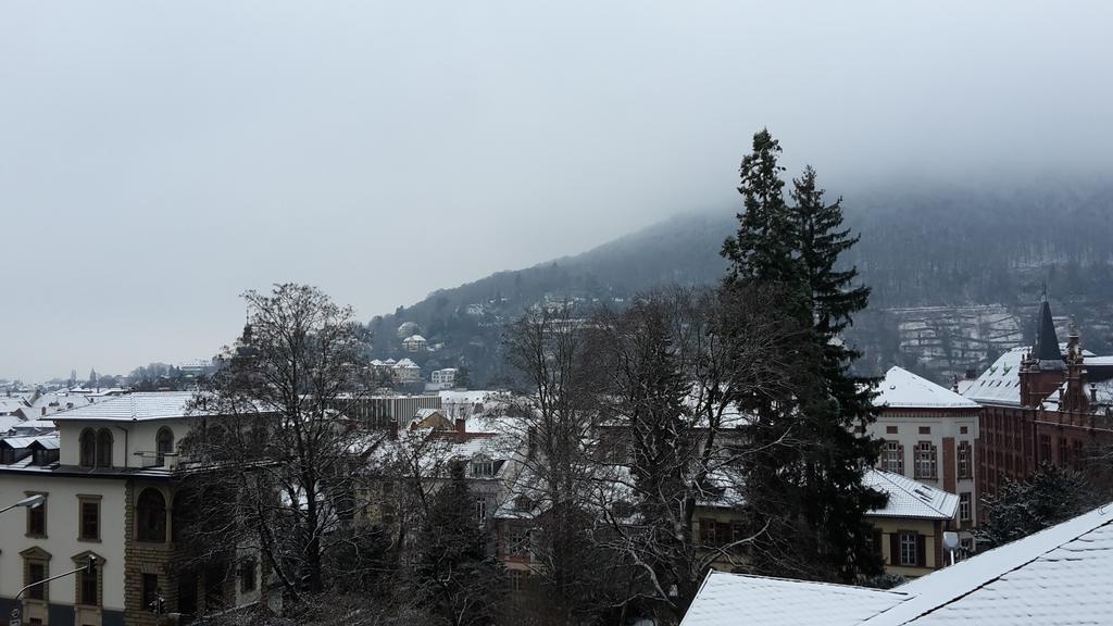 Altstadtblick Heidelberg Dış mekan fotoğraf